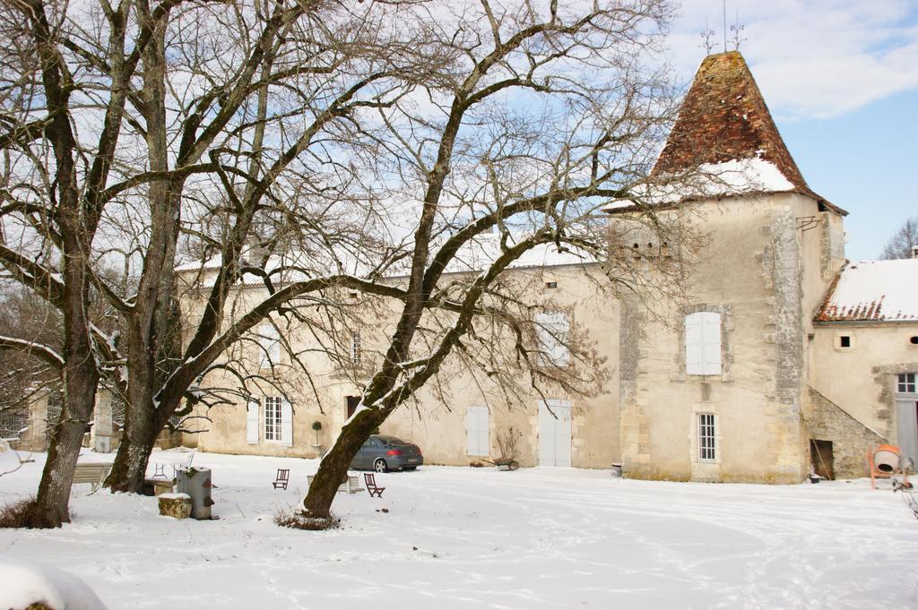 Chateau De La Combe Puyrenier Exteriör bild