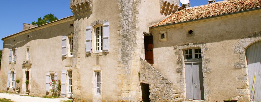 Chateau De La Combe Puyrenier Exteriör bild
